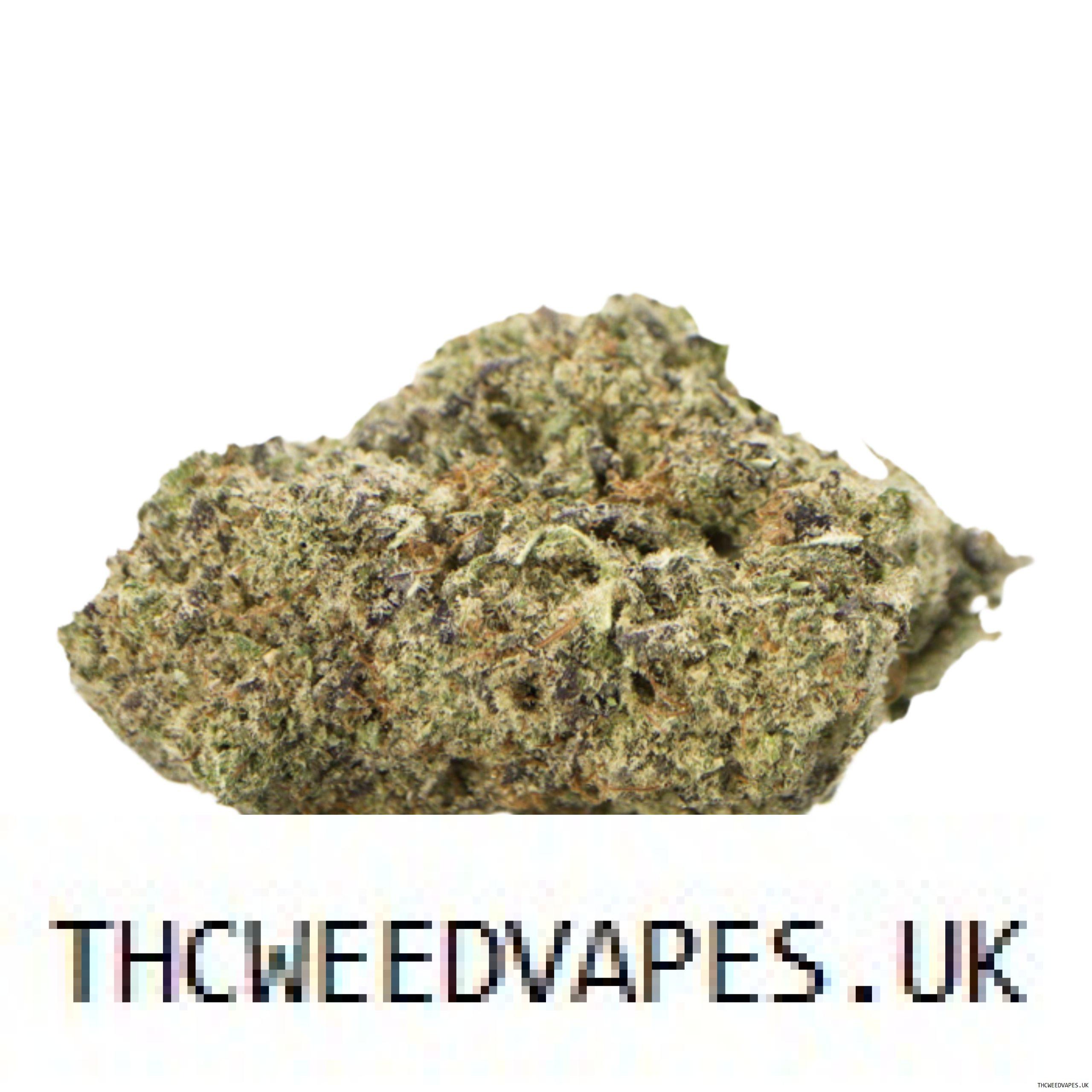 1204202669dc0d1fd62eb.jpeg