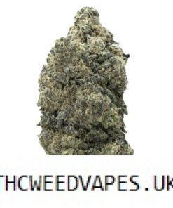 STARDAWG STRAIN UK