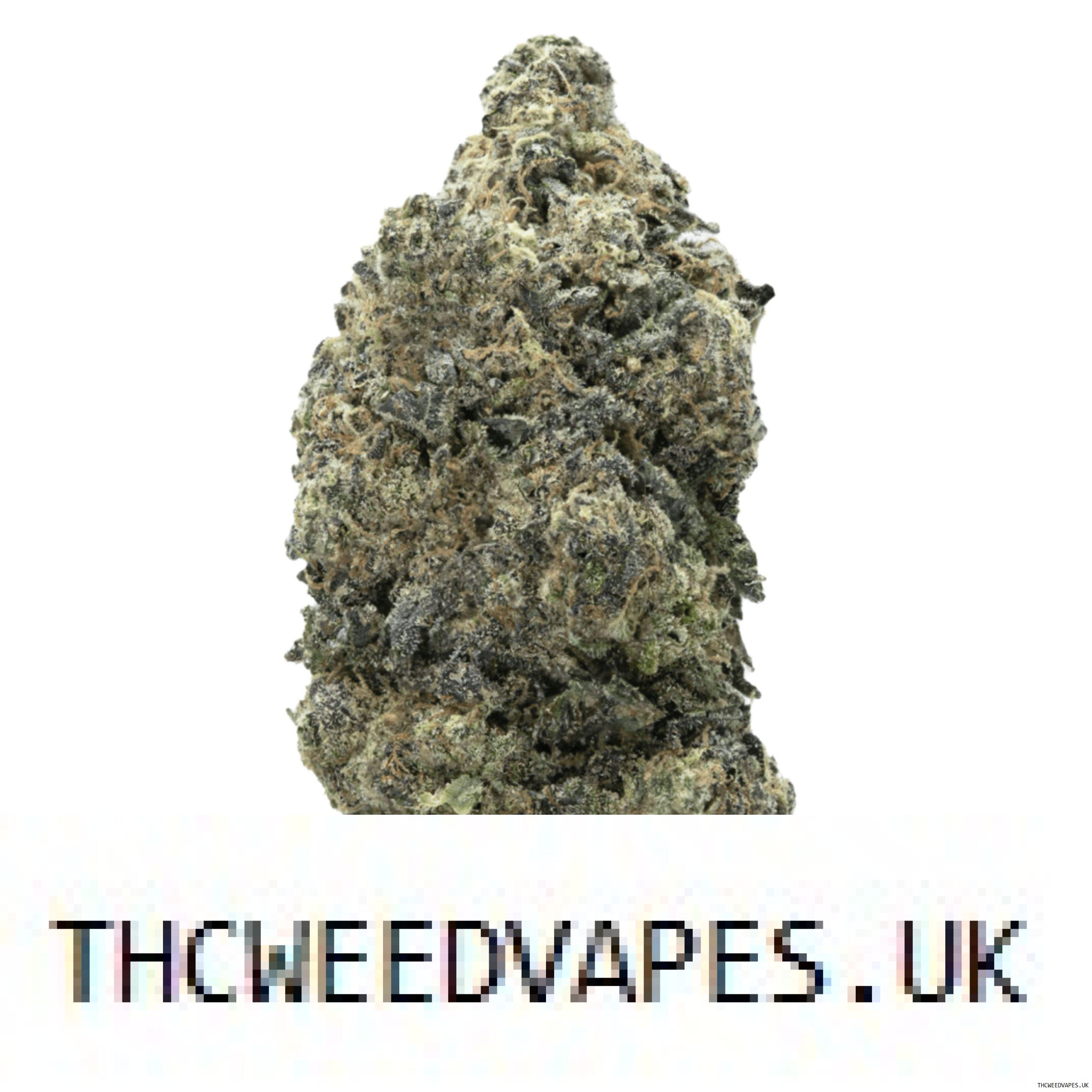 1204202669dc0d5110ef1.jpeg