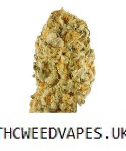 SUPER SILVER HAZE UK
