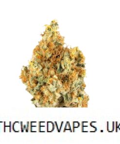 TANGERINE DREAM UK