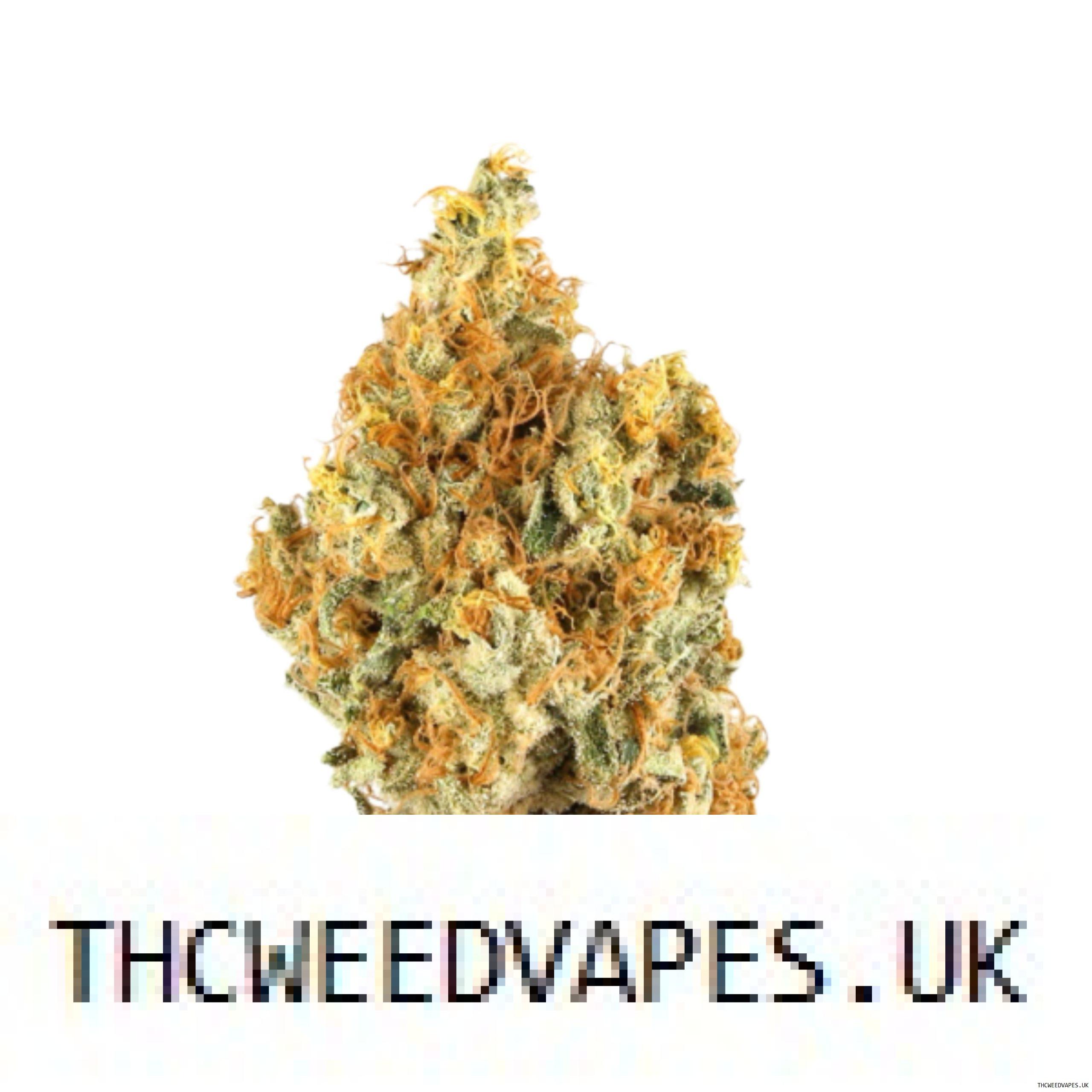 1204202669dc0d8227c58.jpeg