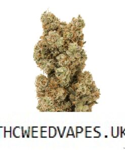 thc vape,weed vape,thc vape uk,vape weed,thc vapes,vapes for thc,thc vapes uk,weed vapes,weed vapes uk,weed vape uk,thc in vapes,cannabis vape,canabbis vape,cannabist vape,canabiss vape,canbis vape,cannibis vape,strong thc vapes uk,vape pen thc,marijuana pen,thc pens uk,cannabis vapes,weed pen uk,pot vape,thc vaping pens,infused premium extracts,disposable thc vape uk,don extracts,cannabis vape uk,cali pen,thc vape pen 2000mg uk,disposable weed vapes uk,cannibus vapes,canibis vapes,thc vapes uk delivery,canabis vape uk,thc vape uk next day delivery,weed vape pen uk,cannibis vapes,thc vape pen uk,vape thc,weed oil vape,dmt vape kaufen,hash oil vape,thc shop,cannabis vapes uk,thc vaping,cali pens,cannabis vaping uk,thc products uk,weed pens uk,weed vape pen,canabis vape,cbd gummies,cbd gummies,cbd gummies uk,edibles,supremecbd gummies,cbd,edibles uk,cbd edibles,edible gummies,best cbd gummies uk,Gummies,c d gummies,b d gummies,edibles uk,pot gummies,gummies,weed gummies,best cbd gummies,cannabis gummies,cbd gummy bears,edibles gummies,cannabis gummies uk,edible weed gummies,edibles weed,weed edible gummies,edibles uk,edible mushrooms uk,are edibles legal uk,activist edibles uk,edible uk,thc edibles uk,edible flowers uk,edible fungi uk,edible uk mushrooms,strongest cbd edibles uk,my edibles uk,strong edibles uk 1000mg,edible flowers in the uk,are edibles legal in the uk,edible cake toppers uk,edible insects uk,edible marijuanas uk,edible plants uk